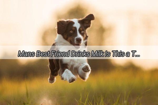 Mans Best Friend Drinks Milk Is This a Trend or a Trendy Trend